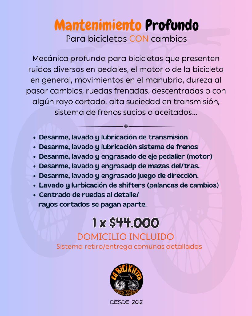 Mantención Profunda con Cambios